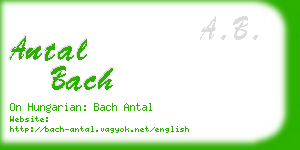 antal bach business card